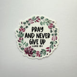 Pray & Never Give Up Sticker