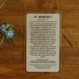 St. Benedict of Nursia Print