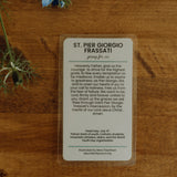 St. Pier Giorgio Frassati Print